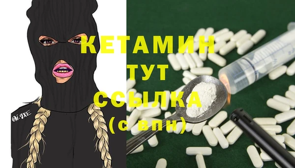 твердый Гусев