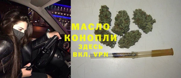 твердый Гусев