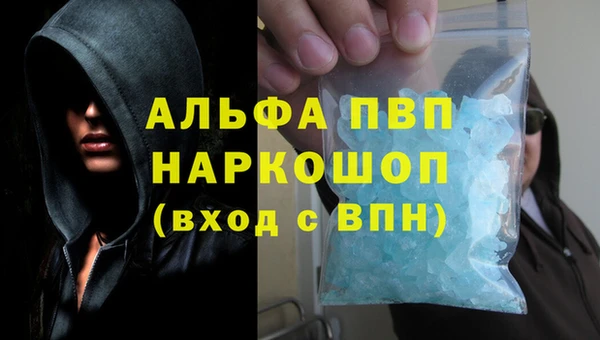 твердый Гусев