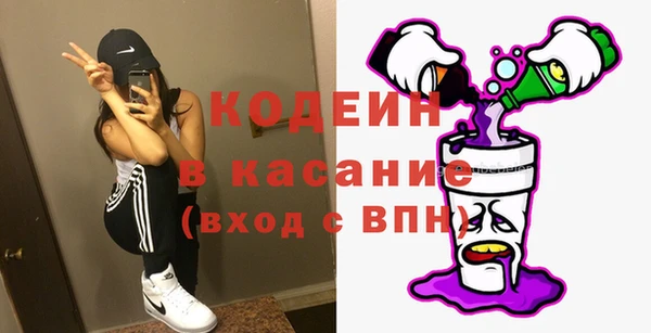 твердый Гусев
