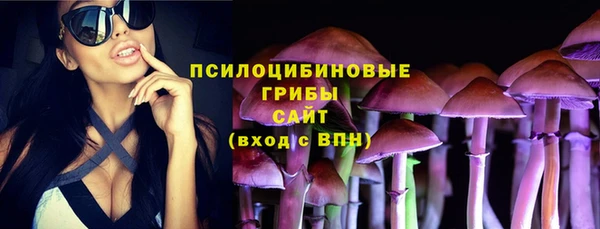 jwh Гусь-Хрустальный