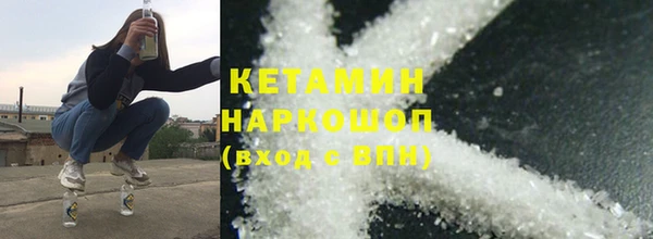 твердый Гусев