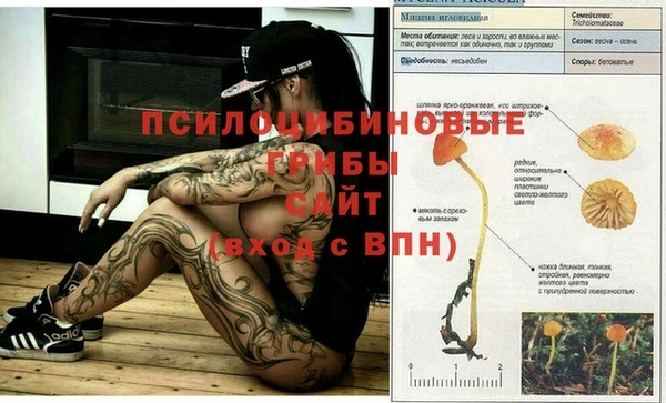 jwh Гусь-Хрустальный