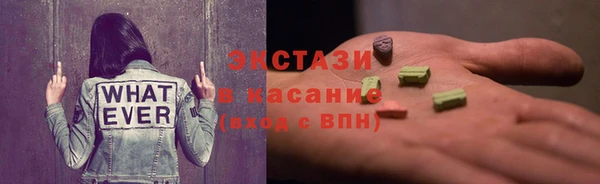 твердый Гусев