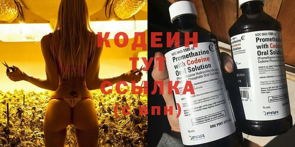 jwh Гусь-Хрустальный