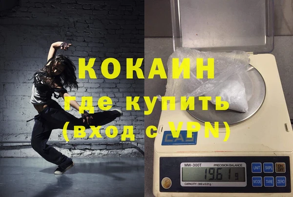 твердый Гусев