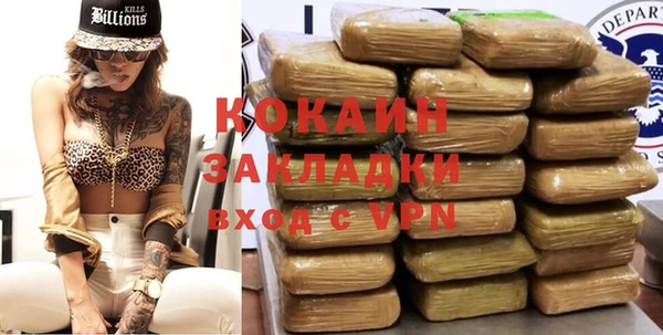 твердый Гусев