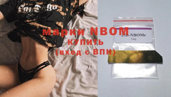 соль ск Гусиноозёрск