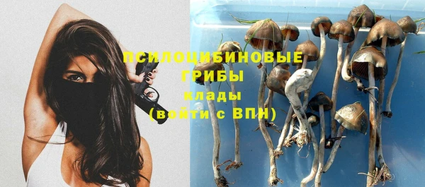 твердый Гусев