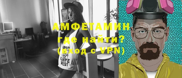 твердый Гусев