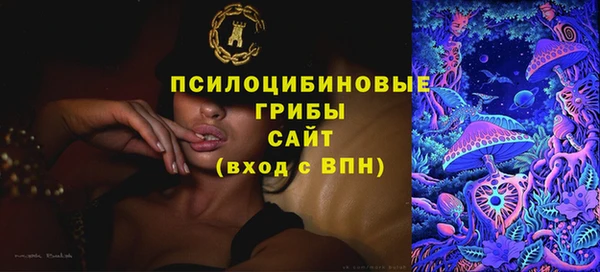 jwh Гусь-Хрустальный