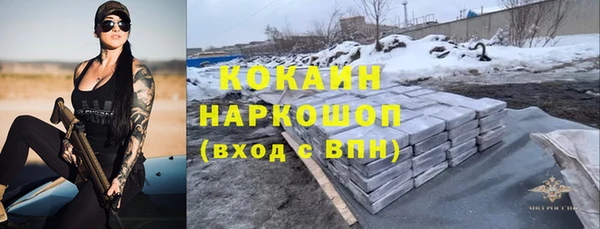 jwh Гусь-Хрустальный
